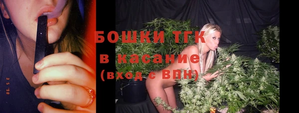 сатива Верея