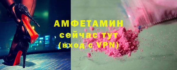 сатива Верея