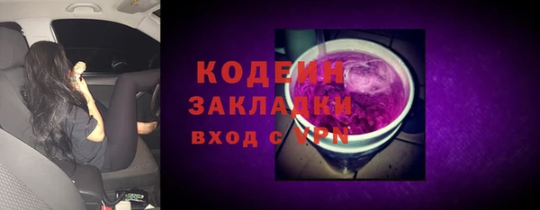 сатива Верея