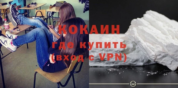 сатива Верея