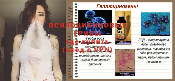 сатива Верея